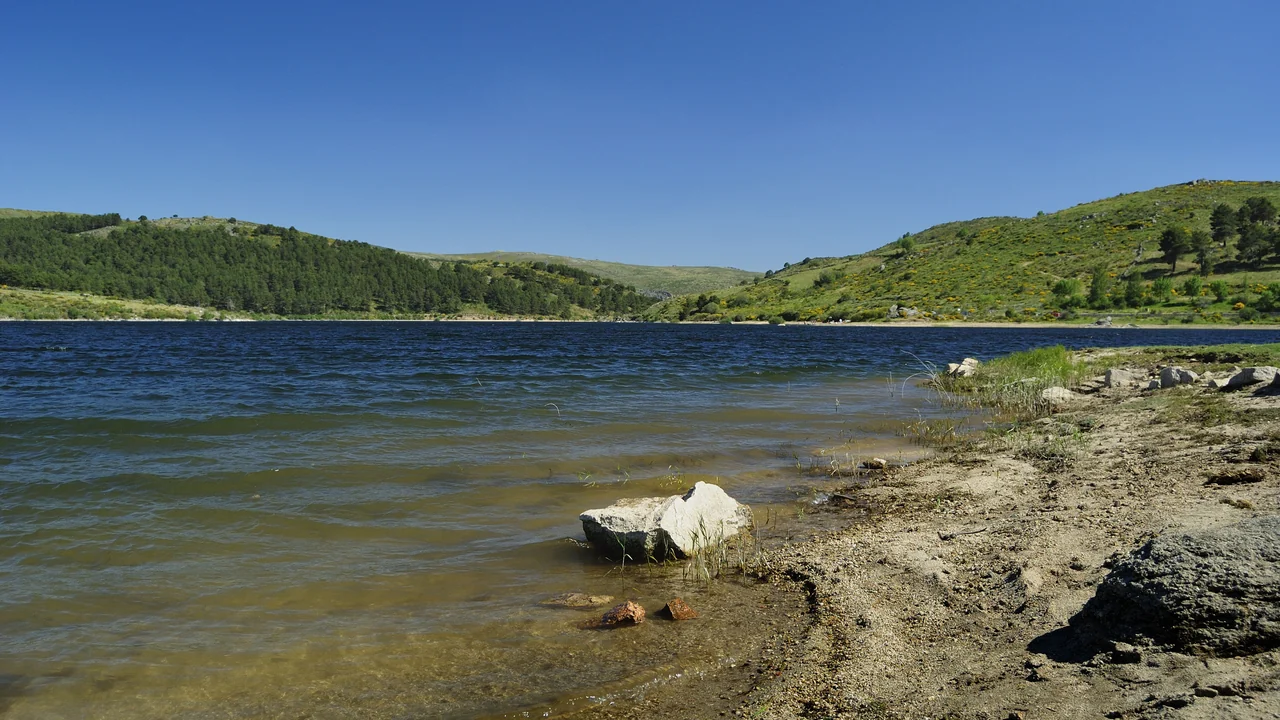 ES4110097-Campo Azalvaro-Pinares Peguerinos-Embalse de la Aceña DSC6629.jpg